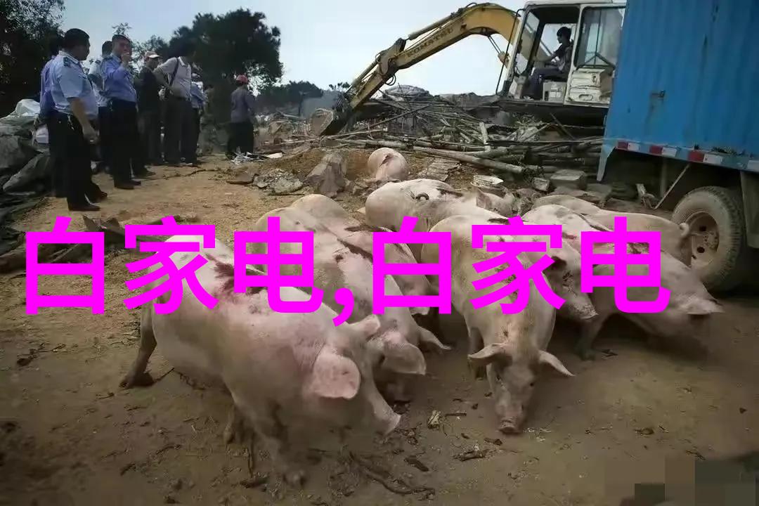 暴力拆除2变态版 - 爆裂重构揭秘变态建筑的毁灭与再生