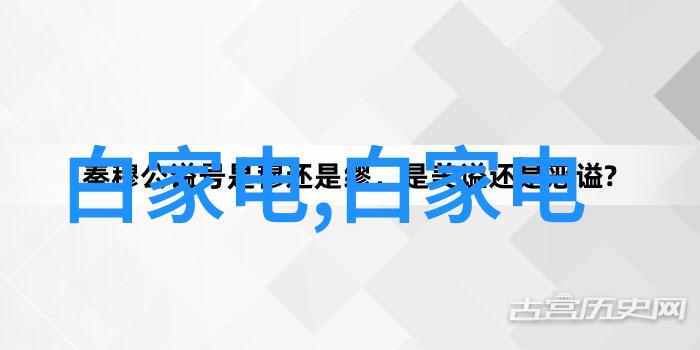 滤清天地之水探索最佳净水器