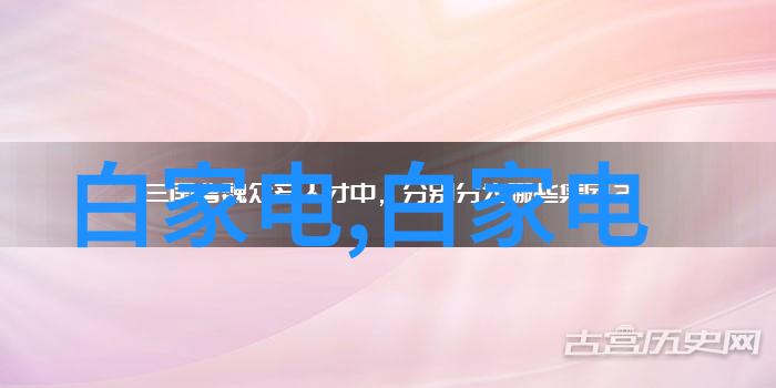 客厅隔断设计中的空间利用策略与视觉效果分析基于进门视角的案例研究