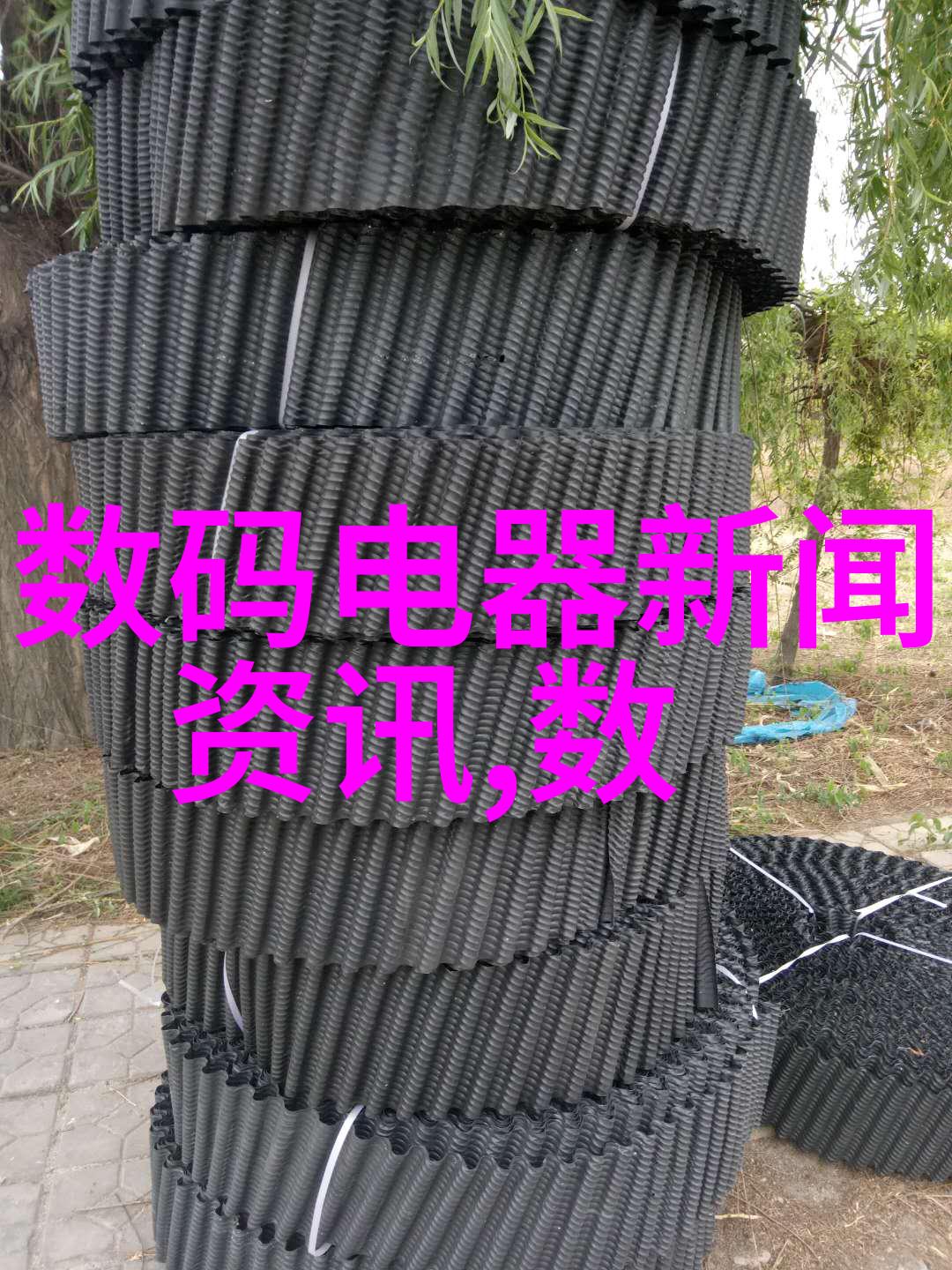 无核红枣包装机械