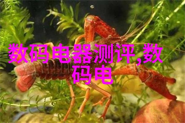 水管安装指南从选材到施工的全过程解析