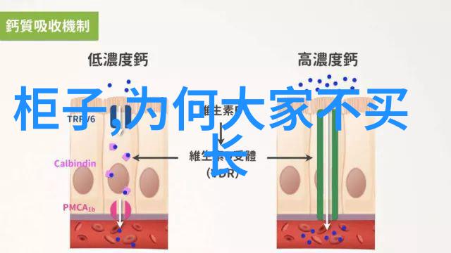 带式干燥机技术与应用概述