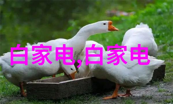 微生物之敌杀菌设备生产厂家的守护者