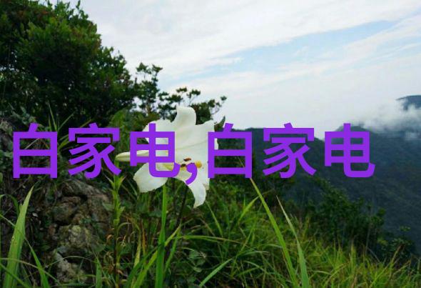 电视分为液晶和光电屏幕的双重奏鸣