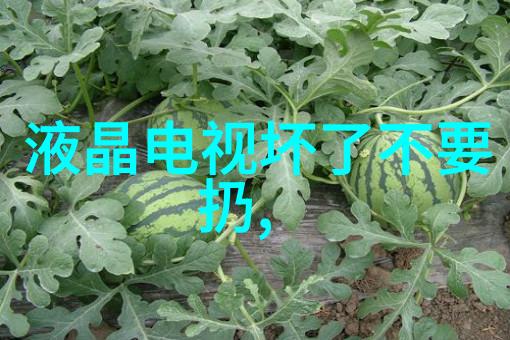 无声的守护者免漆门背后的秘密