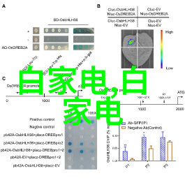 电视机不起电红灯亮但无响应的故障排查指南