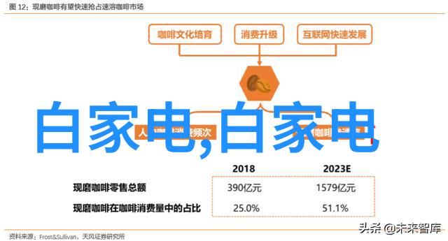 智能穿戴设备的应用前景与挑战研究从健康监测到生活辅助系统的演进