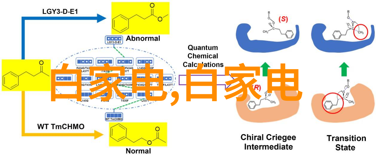 深夜守屏15部让你忘寝不醒的甜蜜宠物剧