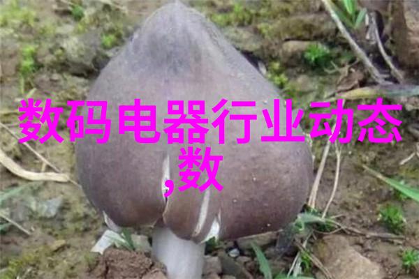 注射剂机械与HSXP全自动洗瓶机同台并立厂家信息相伴