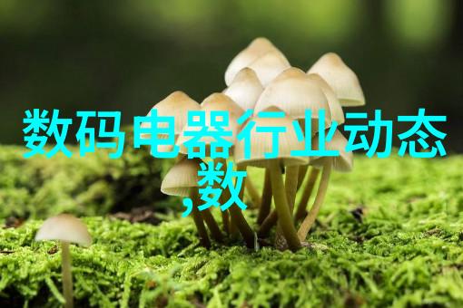 春日绘卷花语中的爱与美