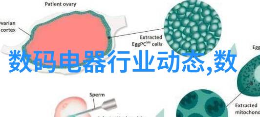 镜头背后的世界摄影技巧与艺术的深度探究