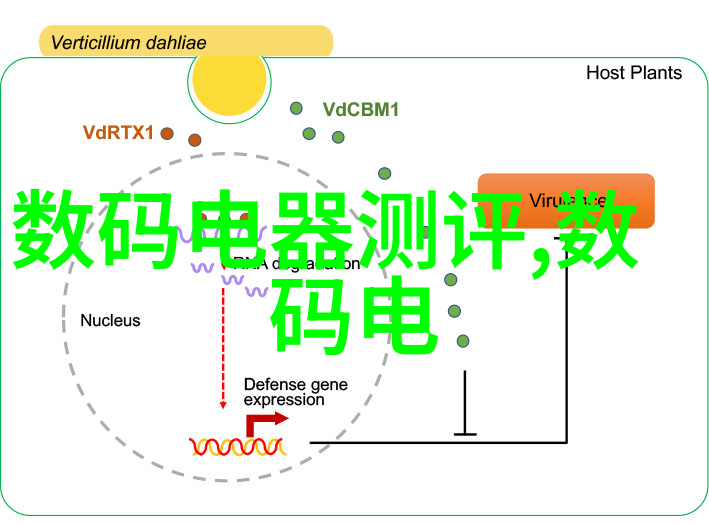 家居美学探索如何高效选择合适的装修设计公司