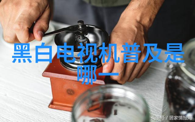 兔宝宝的绒绒森林探索可爱小生命的秘密世界