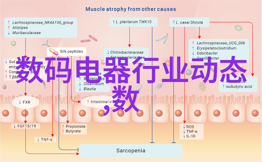 嵌入式平台-嵌入式系统平台概述与选择指南