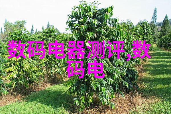 创意烘焙需要热源小型蒸汽发生器你值得拥有