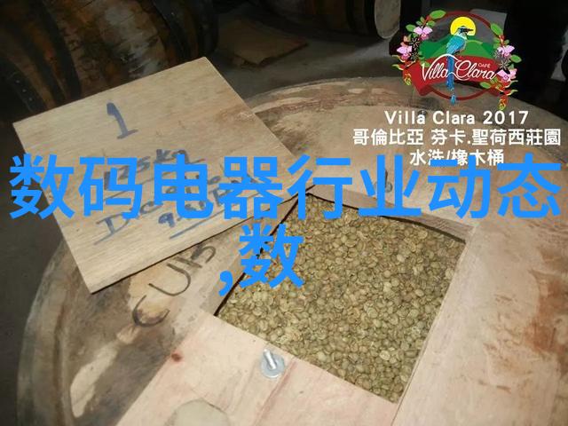 稳定器平衡者之心