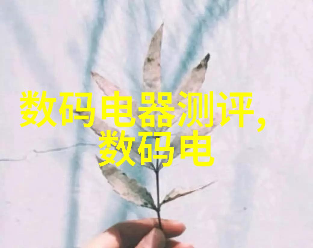 专业拍摄-精准构图解锁高质量照片的秘诀