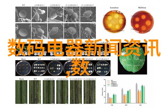 2021年最流行客厅装修效果图时尚家居风格创意布局设计现代简约审美