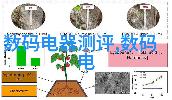 山东商业职业技术学院的学子们在实践中探索未来