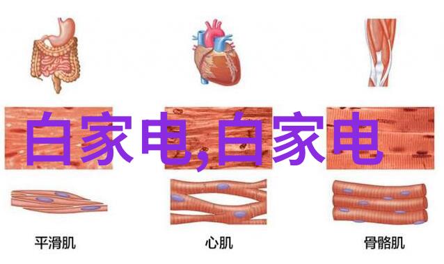 自然风格暗卫卫生间装修6大注意事项查看效果图片