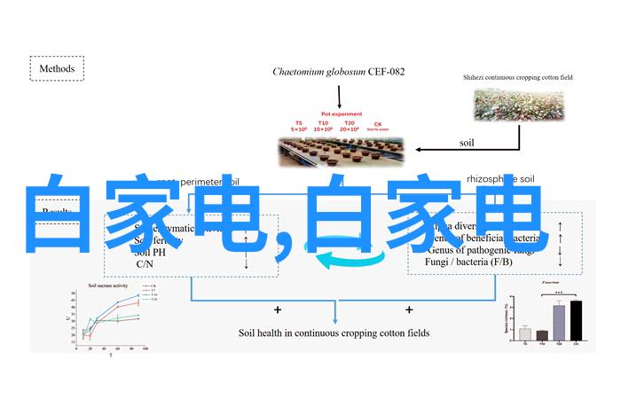 不再是冷冰冰的代码揭秘韩剧如何塑造非机器人的角色