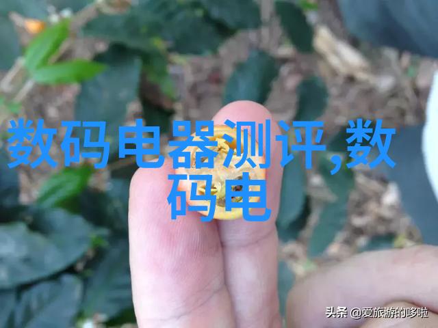 微波炉美食-快速烹饪艺术创意微波炉菜谱收藏