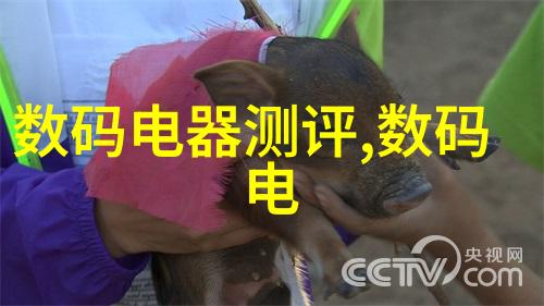 能用花来传递复杂的情感信息吗如果可以怎么做