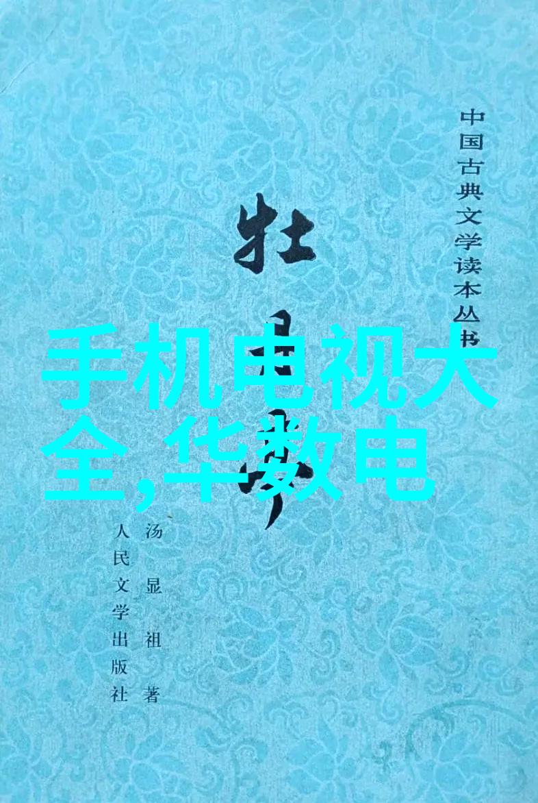 设计与探索一名芯片设计师的职业生涯回顾