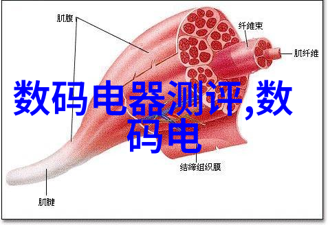 单反相机入门基础知识我来教你如何开始你的摄影之旅