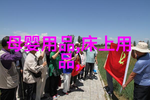 UWB芯片超宽带无线通信技术的微型处理器