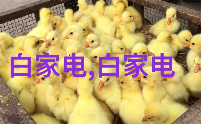 排水管材料种类塑料排水管的选择与应用