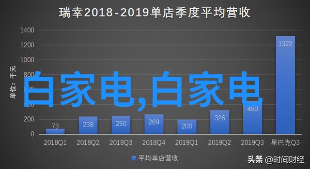 耳环上的秘密戴珍珠的少女与她的神秘冒险