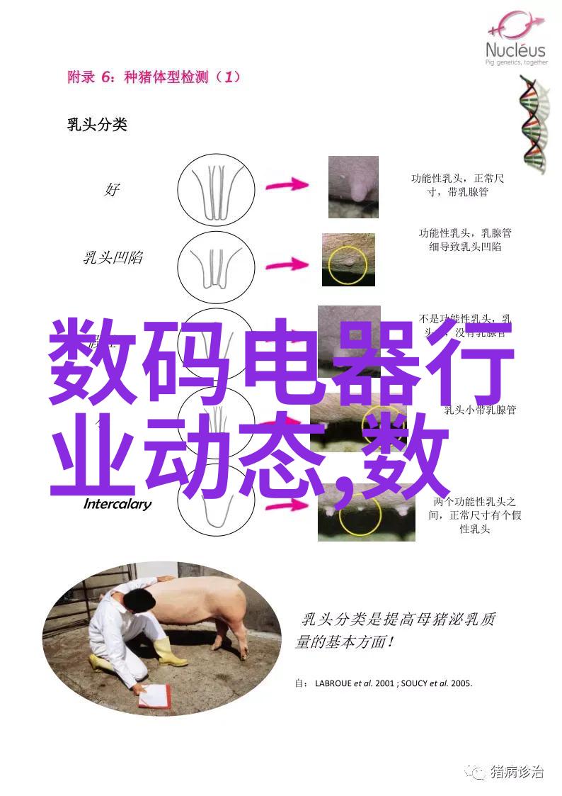 性价比高的手机排行榜前十名独家揭秘在资本寒冬中崛起的非典型RISC-V巨头