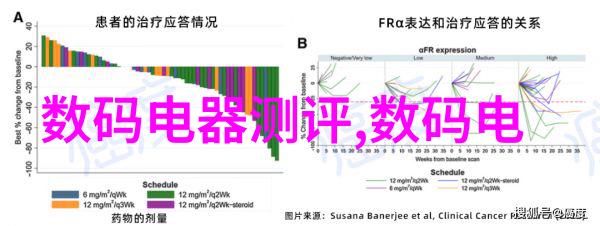 第23届全国艺术摄影大赛揭晓我眼中的艺术揭秘那些获奖照片背后的故事