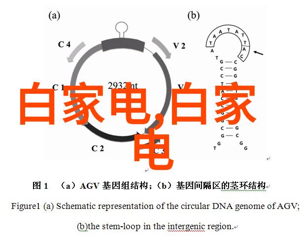 数据驱动家装如何精准布局水管安装防水工程