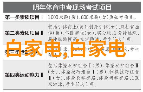 平板电脑与笔记本相比哪些功能是不可或缺的