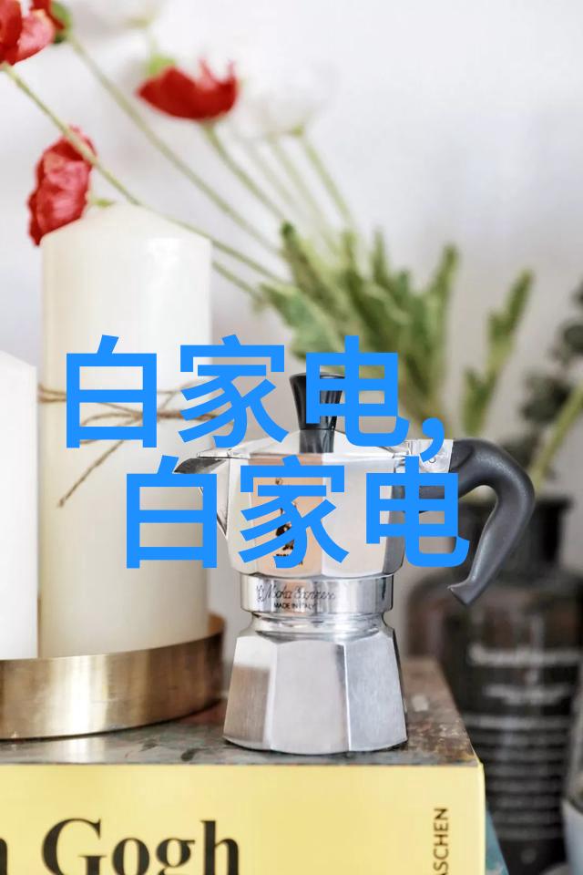 黑玫瑰花语探秘暗香中的爱恨交织