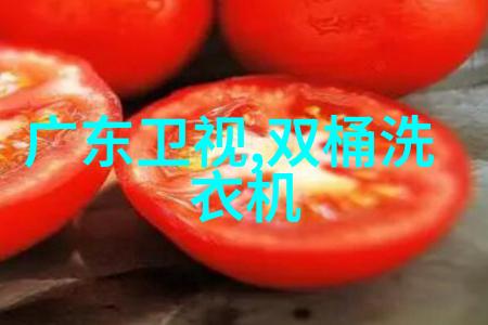 触控大屏幕的魔力高清电视APP让手机变身智能娱乐平台