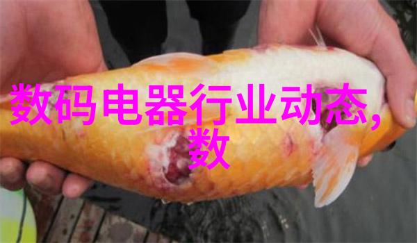 冷库设备生产厂家确保食品安全与储存效率的关键伙伴