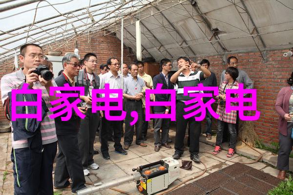 2021年客厅装修效果大爆发你家的沙发区真的需要一场翻新盛宴吗