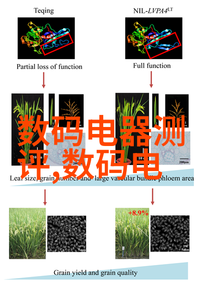 电视技术的双重奏鸣液晶与LED的并进之旅