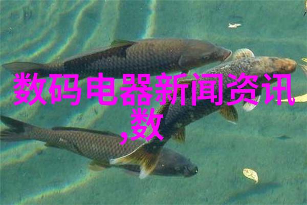 防水布的秘密它是如何制造出如此坚韧无匹的