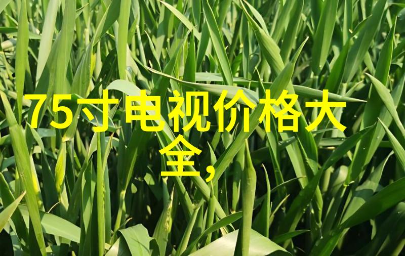 WDG生产线易清洁