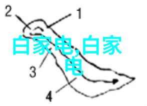 拍摄技巧捕捉最佳时刻与构图要点