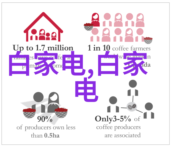 探索专业拍照世界从镜头到后期所有必备设备一览