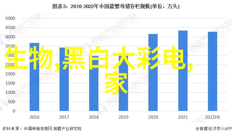 仪器之舞幕后奏鸣的技术诗篇