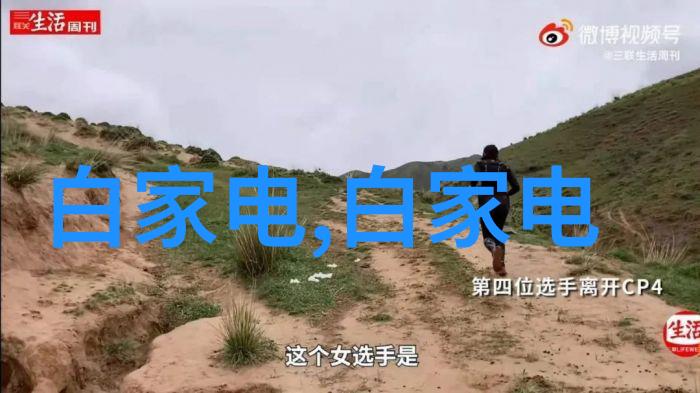 花语百态揭秘花朵间的语言游戏