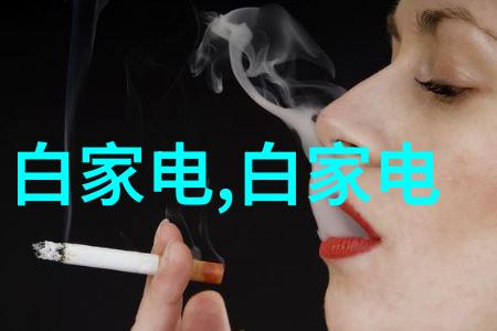 美学体验探究在有限空间内营造高级别美感的艺术之道-以70多平方尺为基准进行设计与挑选讨论