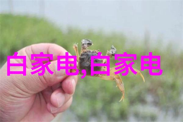 欧式风格厨房装修效果图中木材与瓷砖的最佳融合方式是什么