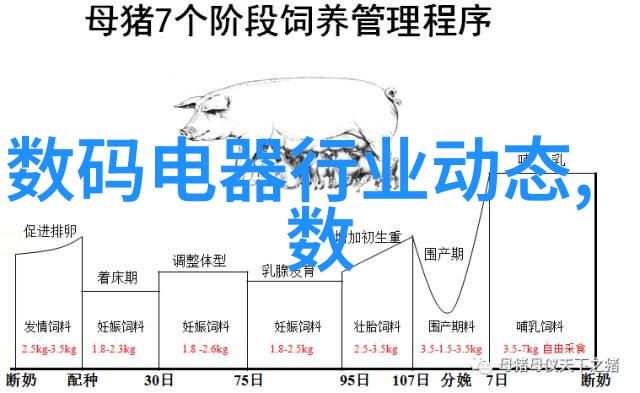 日本厨房必备小物揭秘最值得购买的家电秘诀